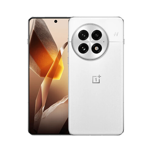 OnePlus 13